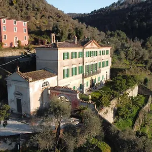Cavallini Camaiore